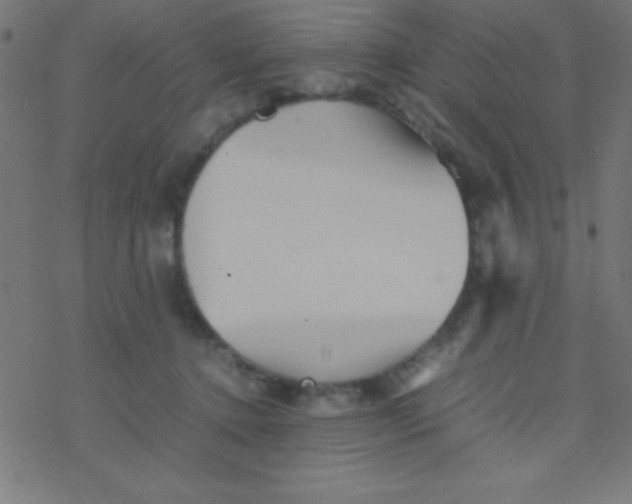 X0000077380368200611101735