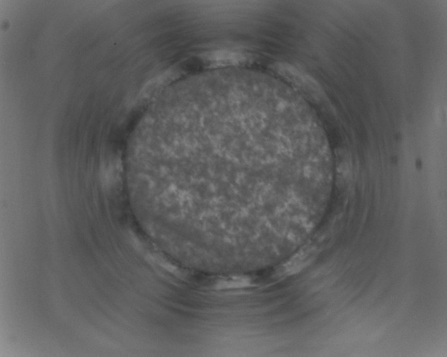 X0000077380369200611101735