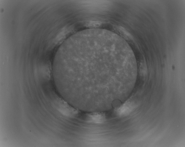 X0000077380370200611101735