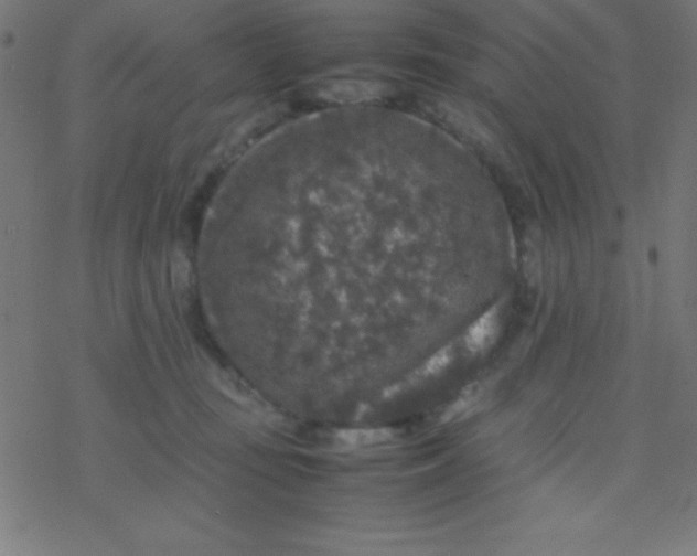 X0000077380371200611101735