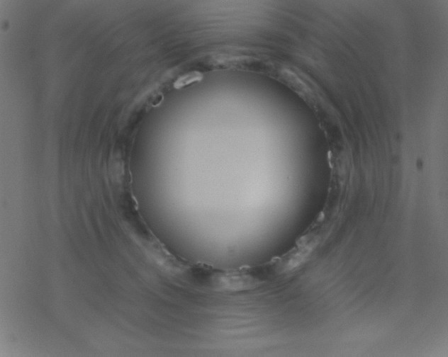 X0000077380372200611101735