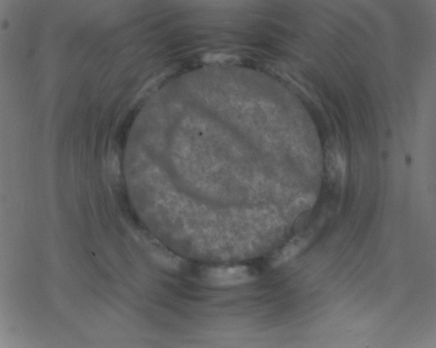 X0000077380375200611101735