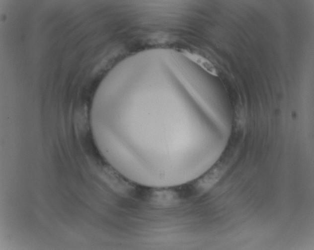 X0000077380376200611101735