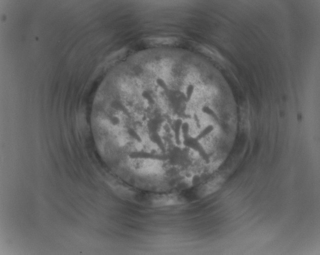 X0000077380377200611101735