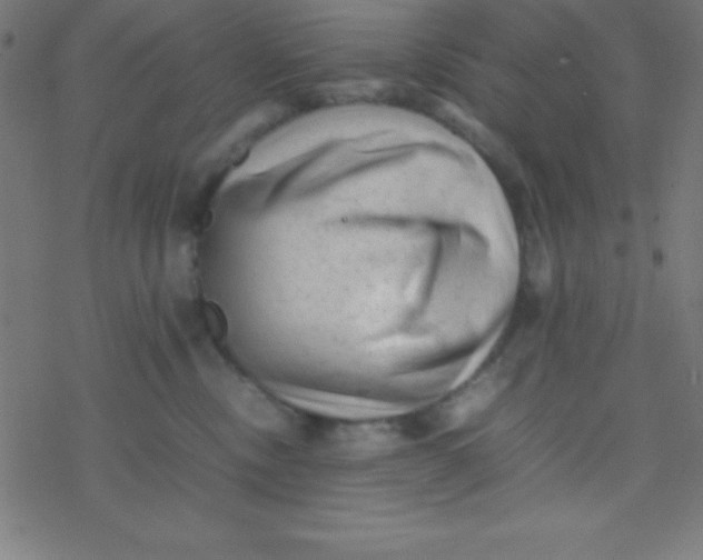 X0000077380378200611101735