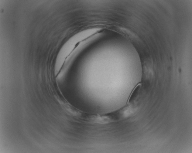 X0000077380379200611101735