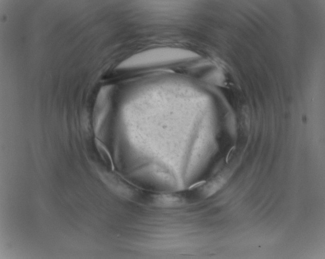 X0000077380380200611101735