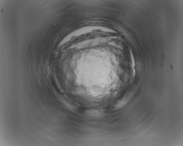 X0000077380381200611101735