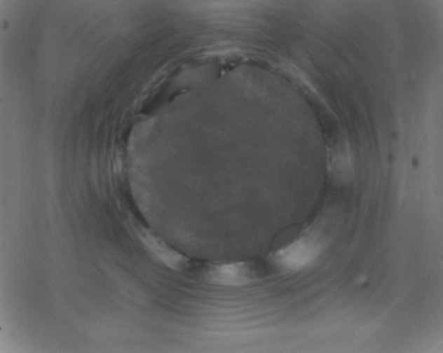 X0000077380382200611101735