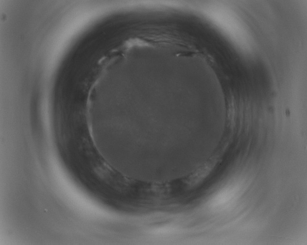 X0000077380383200611101735