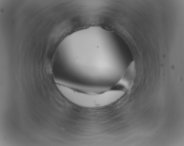 X0000077380384200611101735