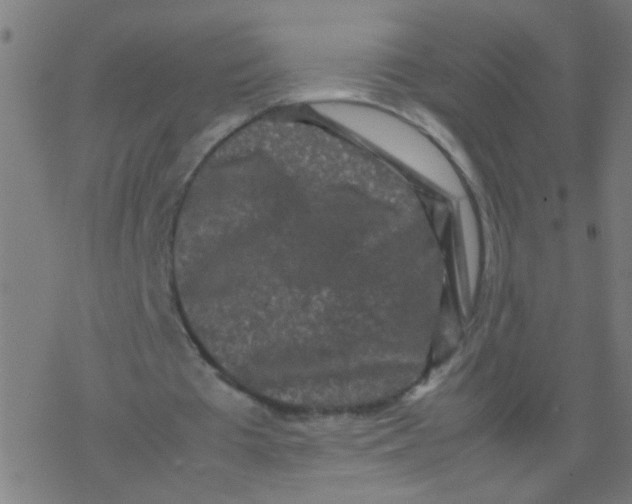 X0000077380385200611101735