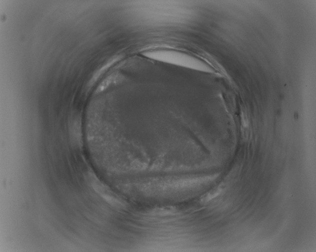 X0000077380386200611101735