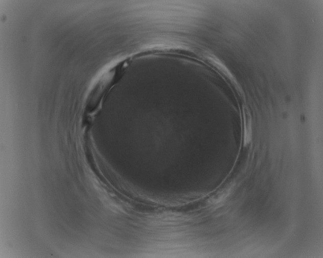 X0000077380387200611101735