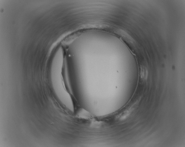 X0000077380388200611101735