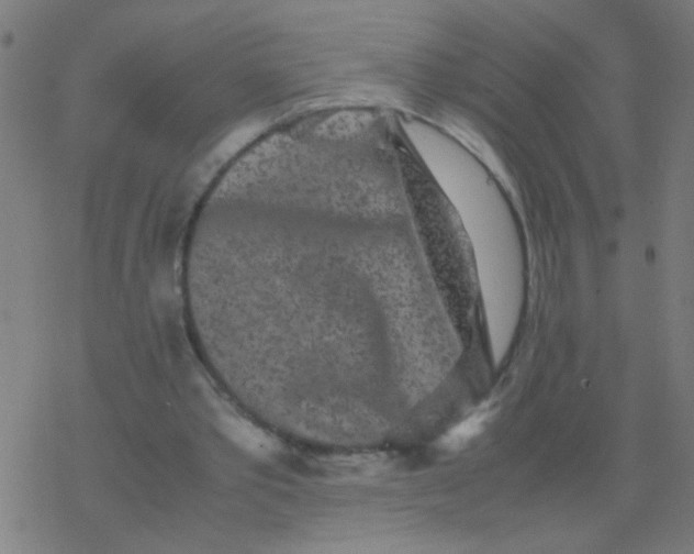 X0000077380389200611101735