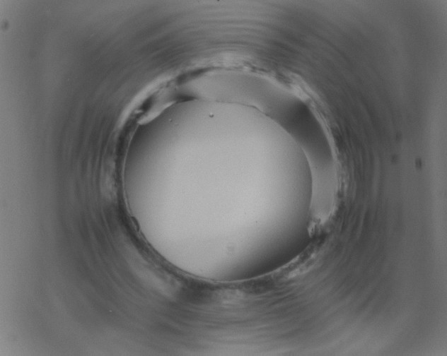 X0000077380392200611101735