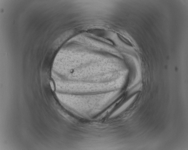 X0000077380393200611101735