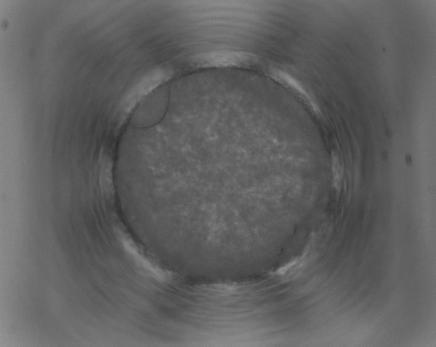 X0000077380394200611101735