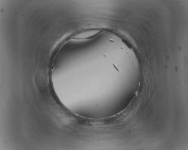 X0000077380395200611101734