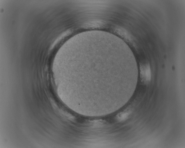 X0000077380396200611101734