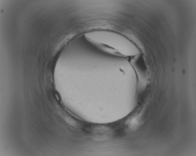 X0000077380397200611101734