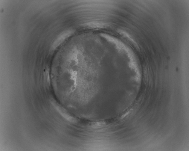 X0000077380398200611101734