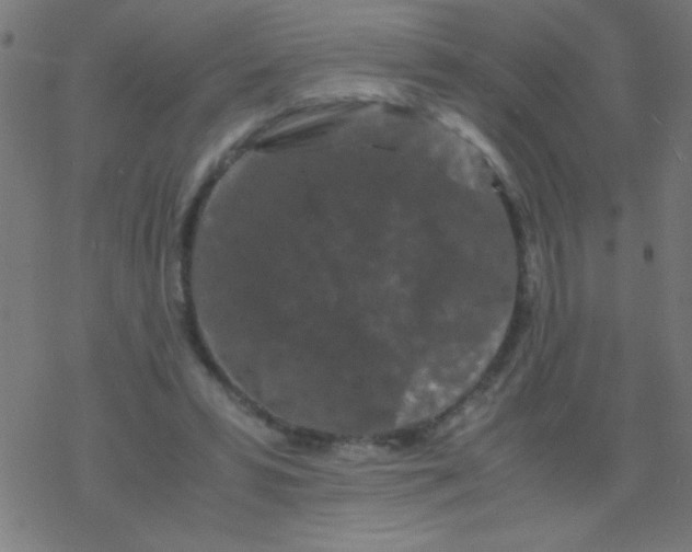 X0000077380399200611101734