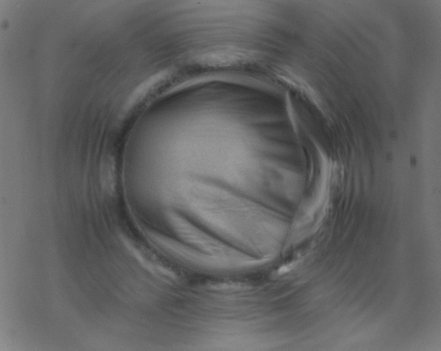 X0000077380400200611101734