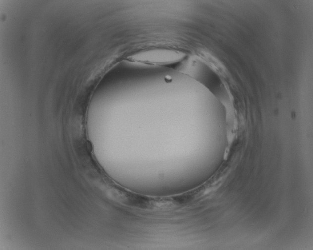 X0000077380401200611101734