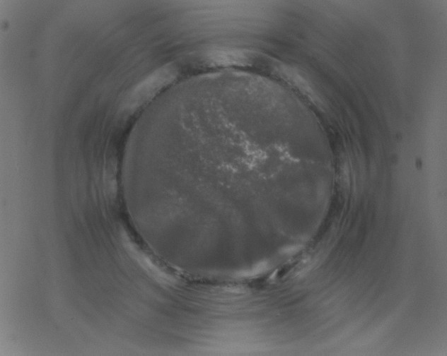 X0000077380402200611101734