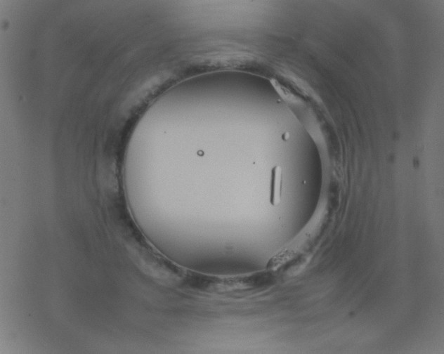 X0000077380403200611101734