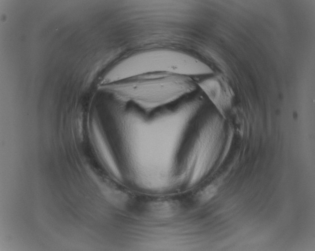 X0000077380404200611101734