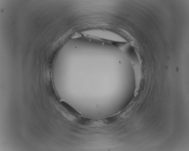 X0000077380405200611101734