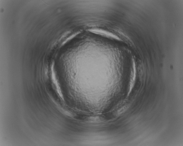 X0000077380406200611101734