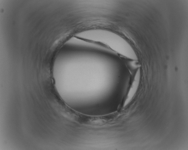 X0000077380407200611101734