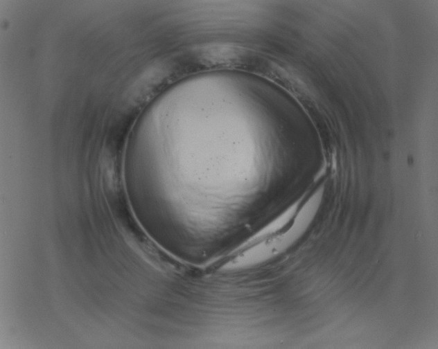 X0000077380408200611101734