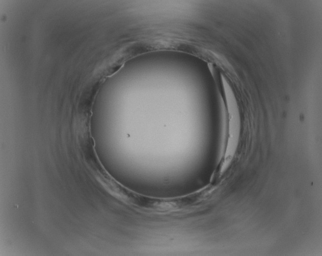 X0000077380409200611101734