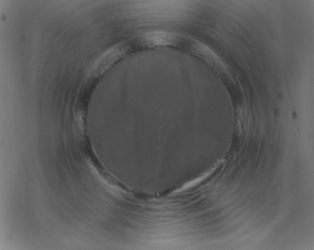 X0000077380410200611101734