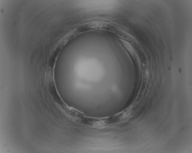 X0000077380411200611101734