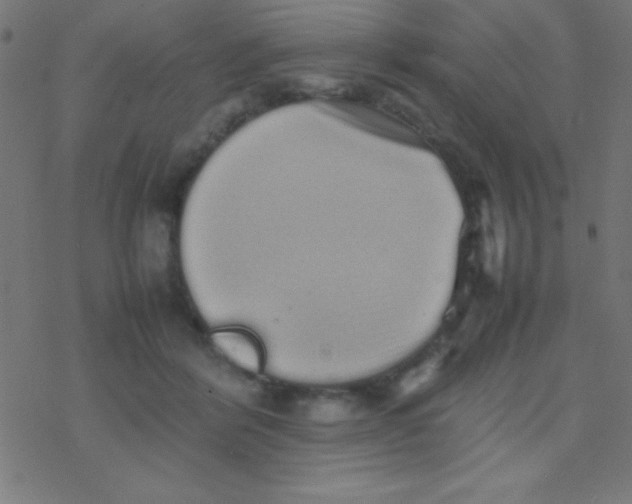 X0000077380412200611101734