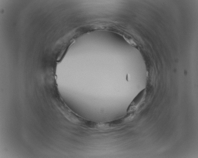 X0000077380413200611101734