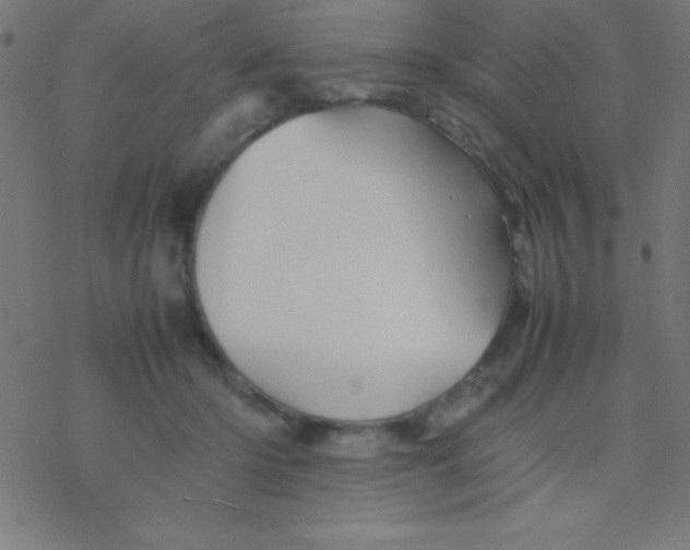 X0000077380414200611101734