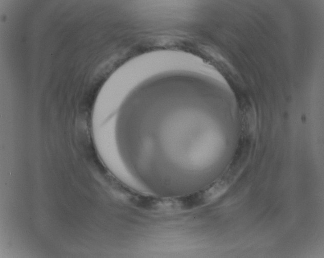 X0000077380415200611101734