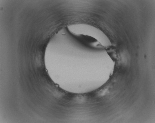 X0000077380416200611101734