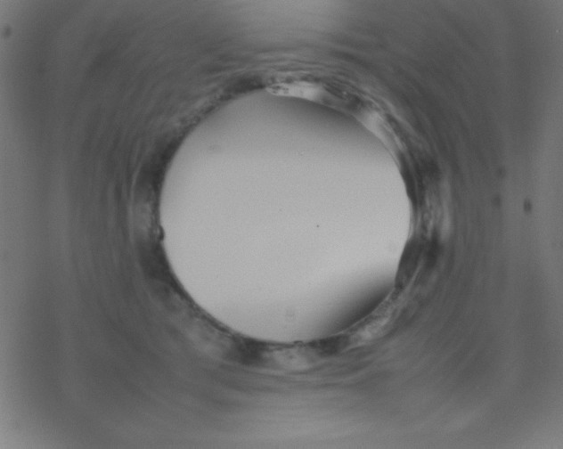 X0000077380417200611101734