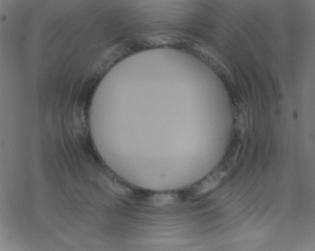 X0000077380418200611101734