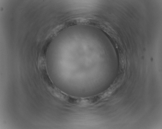 X0000077380419200611101734