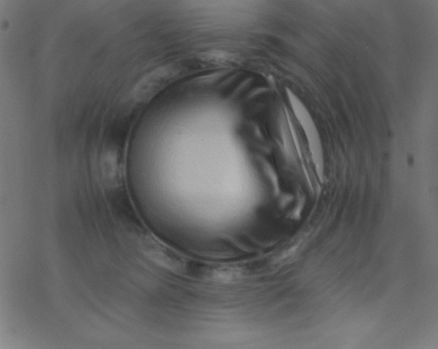 X0000077380420200611101734