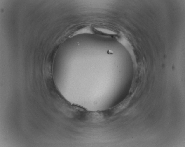 X0000077380421200611101734